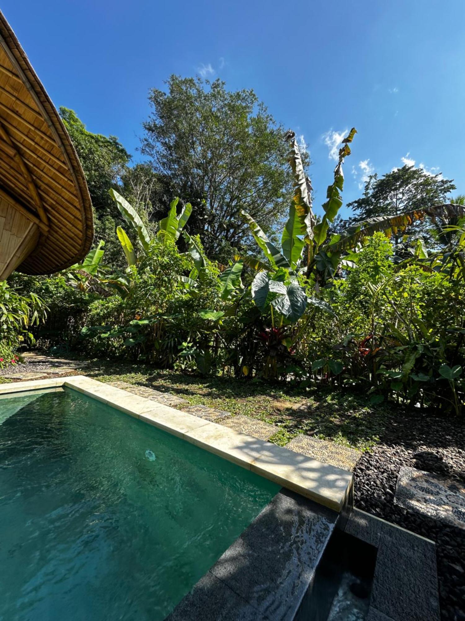 Bamboo House - Ecobreeze Villa Sidemen  Dış mekan fotoğraf